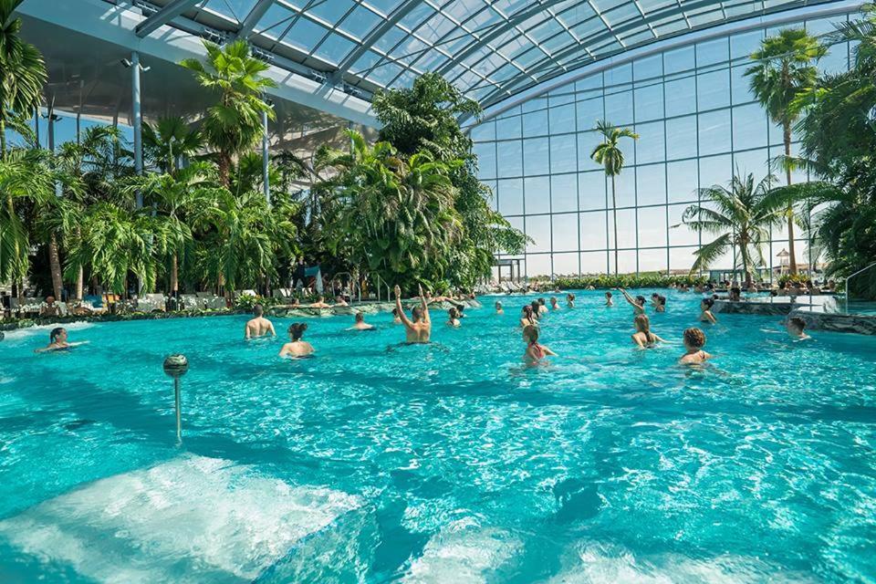 Villa Casuta Cires - Therme & Aeroport Otopeni